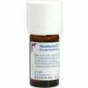 Vaucheria D3 Dilution 20 ml - ab 15,95 €