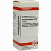 Veratrum Alb D12 Tabletten 80 Stück - ab 7,84 €