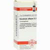 Veratrum Alb D2 Globuli 10 g - ab 7,47 €
