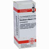 Veratrum Album C12 Globuli 10 g - ab 6,98 €