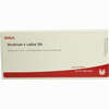 Veratrum E Radice D4 Ampullen 10 x 1 ml - ab 23,34 €