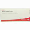 Vesica Urinaria Gl D12 Ampullen 10 x 1 ml - ab 20,05 €