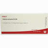 Vesica Urinaria Gl D8 Ampullen 10 x 1 ml - ab 19,41 €