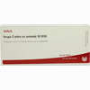 Vespa Crabro Ex Ani Gl D30 Ampullen 10 x 1 ml - ab 19,41 €