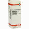 Viscum Alb D6 Dilution 20 ml - ab 8,69 €
