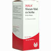 Viscum Mali Ex Herba W 5% Oleum Öl 100 ml - ab 12,83 €
