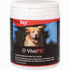 Vivobay Vivofit für Hunde Vet. Tabletten  150 Stück - ab 0,00 €