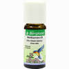 Weißtannen- Öl Wildwuchs Bergland  10 ml - ab 5,45 €