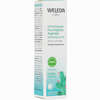 Weleda Feigenkaktus Erfrischendes Feuchtigkeits-augengel Gel 10 ml - ab 22,90 €