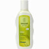 Weleda Hirse Pflege- Shampoo  190 ml - ab 5,57 €