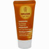 Weleda Sanddorn reichhaltige Pflegelotion  20 ml - ab 0,00 €