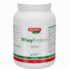 Wheyprotein Lactosefrei Vanille Pulver 1200 g - ab 0,00 €