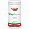 Wheyprotein Lactosefrei Vanille Pulver 400 g - ab 15,62 €