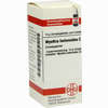 Wyethia Helenioid C30 Globuli 10 g - ab 7,84 €