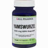 Yamswurzel 500mg Gph Kapseln 60 Stück - ab 0,00 €