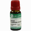 Zincum Met. Arca Lm 18 10 ml - ab 9,04 €