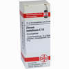 Zincum Metallicum C10 Globuli 10 g - ab 9,58 €
