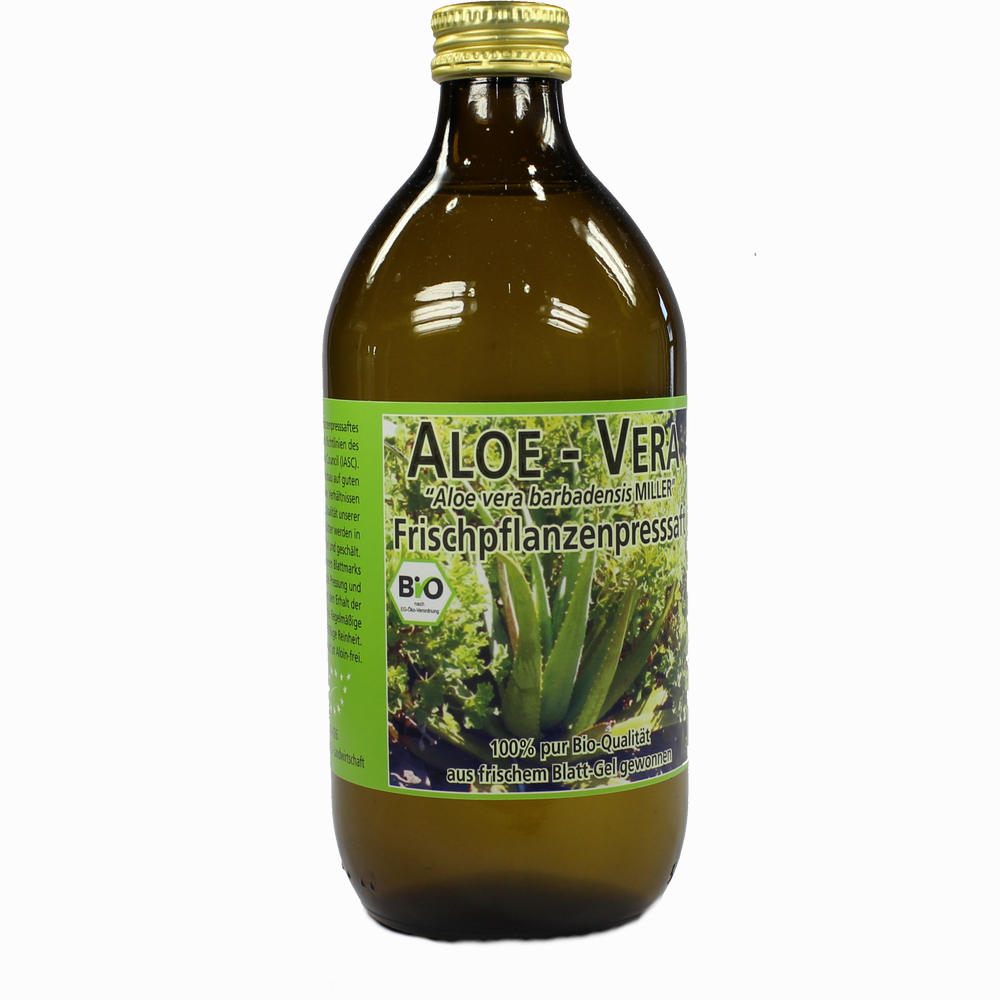 aloe vera pflanze bestellen Aloe vera - Aloe vera main image 0