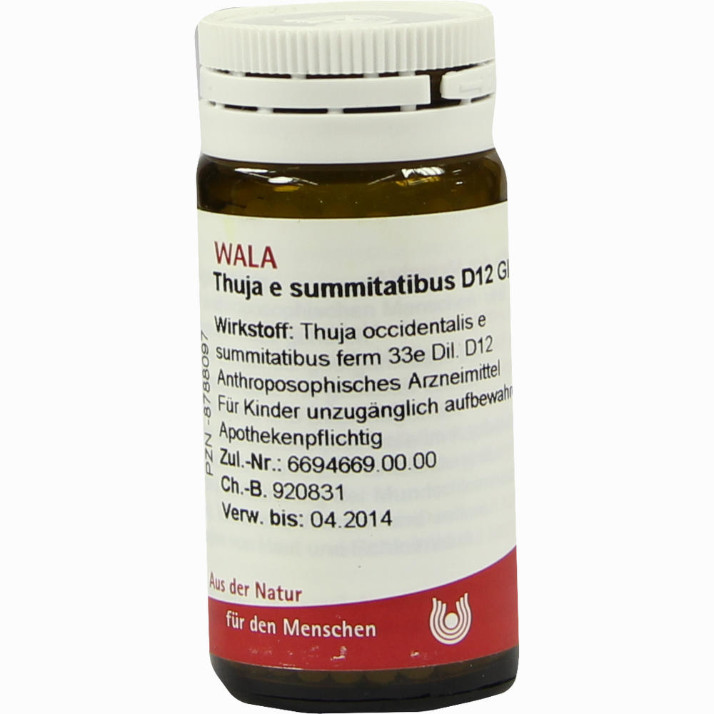 Thuja E Summitatibus D12 Globuli 20 g  Preisvergleich ab 7,48 | Sparmedo