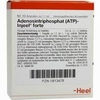 Adenosintriphosphat (atp)- Injeel Forte Ampullen  10 Stück - ab 16,61 €