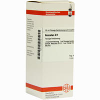 Aesculus D 1 Dilution 20 ml - ab 5,78 €