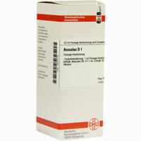 Aesculus D 1 Dilution 20 ml - ab 8,69 €