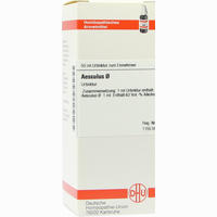 Aesculus Urtinktur Dilution 50 ml