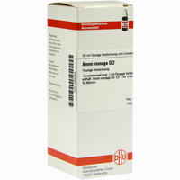Ammi Visnaga D2 Dilution 50 ml