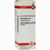 Anacardium D6 Dilution DHU-Arzneimittel GmbH & Co. KG 20 ml 
