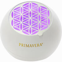 Aroma Ventilator Flower 1 Stück
