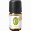 Bauchstreichler Kraftkonzentrat Bio 5 ml