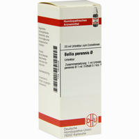 Bellis Perennis Urtinktur Dilution 20 ml - ab 9,70 €