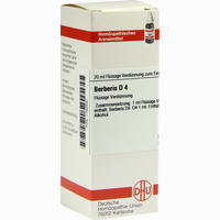 Berberis D4 Dilution DHU-Arzneimittel GmbH & Co. KG 20 ml