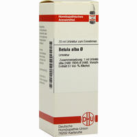 Betula Alba Urtinktur Dilution 20 ml - ab 10,47 €