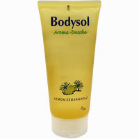 Bodysol Aroma- Duschgel Lemon- Zedernholz  250 ml - ab 2,73 €