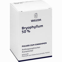 Bryophyllum 50% Pulver 50 g - ab 12,05 €