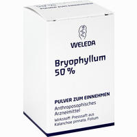 Bryophyllum 50% Pulver 50 g - ab 17,78 €