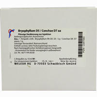 Bryophyllum D5 Con D 7 Ampullen 8 x 1 ml - ab 22,14 €