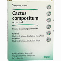 Cactus Comp Vet Ampullen 5 Stück - ab 11,69 €