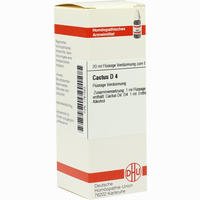 Cactus D4 Dilution DHU-Arzneimittel GmbH & Co. KG 20 ml