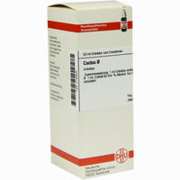 Cactus Urtinktur Dilution 50 ml