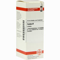Cactus Urtinktur Dilution DHU-Arzneimittel GmbH & Co. KG 20 ml