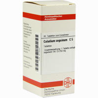 Caladium Seguin C5 Tabletten 80 Stück