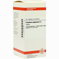 Caladium Seguin C5 Tabletten 80 Stück - ab 11,70 €
