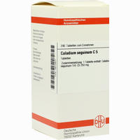 Caladium Seguin C5 Tabletten 200 Stück