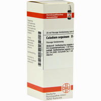 Caladium Seguin D4 Dilution 20 ml - ab 8,64 €