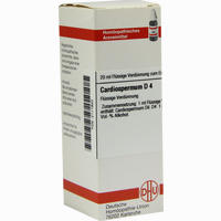 Cardiospermum D4 Dilution 20 ml - ab 8,47 €