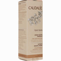 Caudalie Teint Divin Creme Teintee Minerale Dunkel Tub 30 ml 