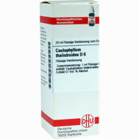 Caulophyllum Tha D6 Dilution 20 ml - ab 8,20 €