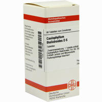 Caulophyllum Tha D6 Tabletten 80 Stück - ab 7,80 €